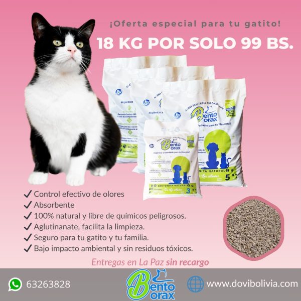 Bento Borax (Promo 1)
